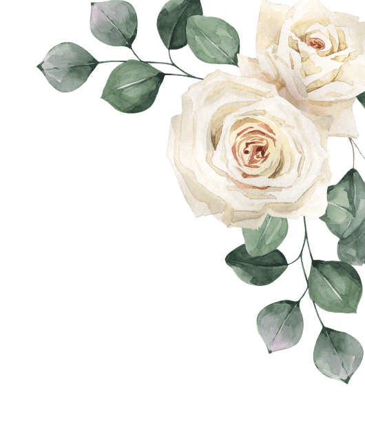 white roses